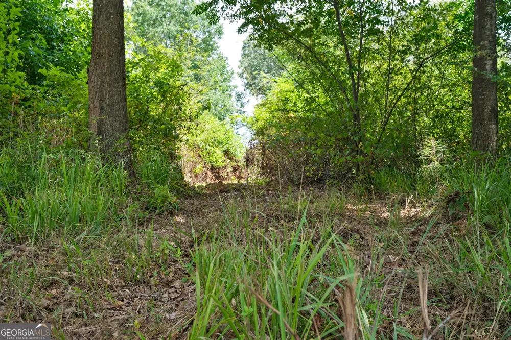 68 Askin Place Culloden, GA 31016