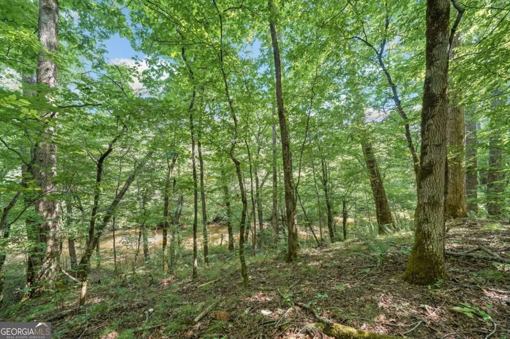 525 Etula DR Dahlonega, GA 30533
