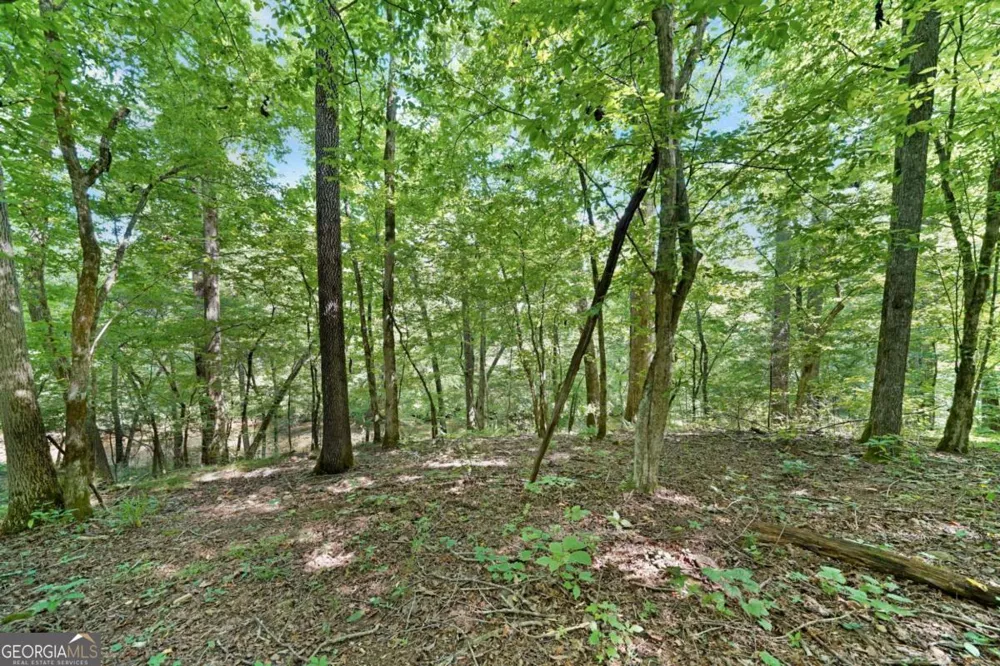 525 Etula DR Dahlonega, GA 30533