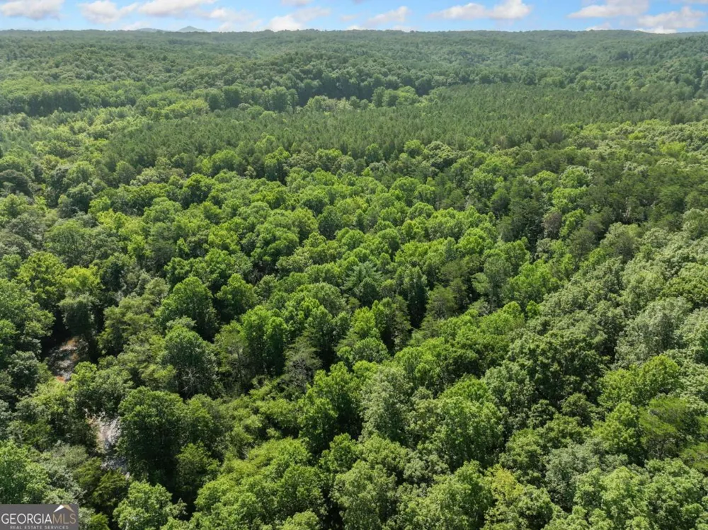 525 Etula DR Dahlonega, GA 30533