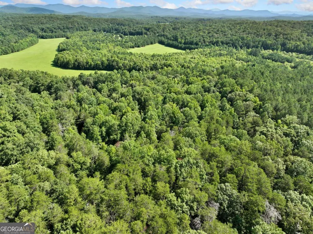 525 Etula DR Dahlonega, GA 30533