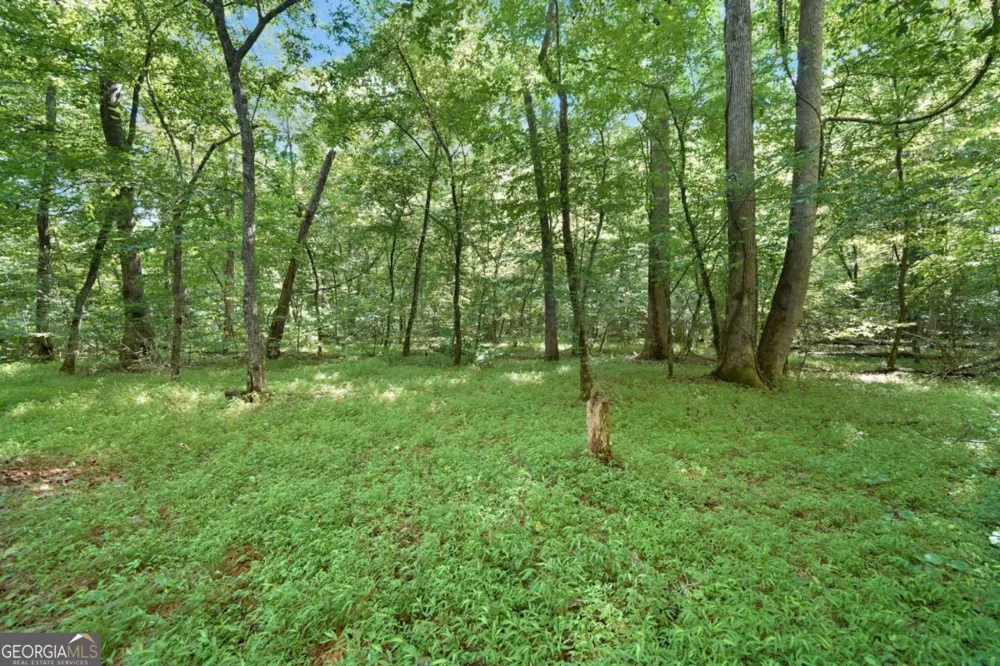 525 Etula DR Dahlonega, GA 30533