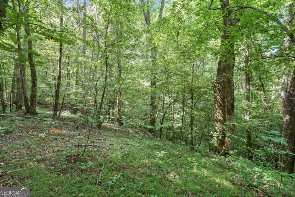 525 Etula DR Dahlonega, GA 30533
