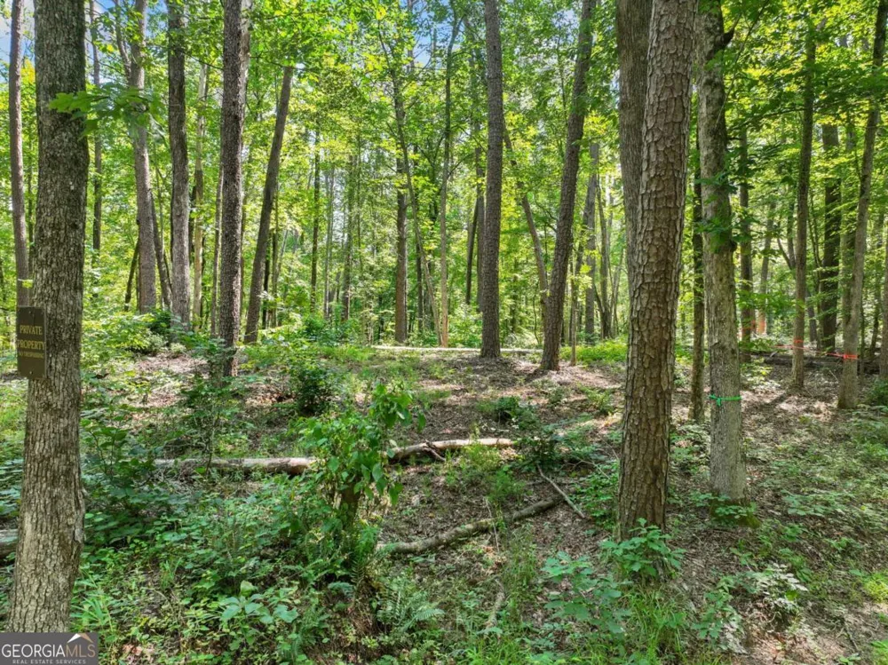 525 Etula DR Dahlonega, GA 30533
