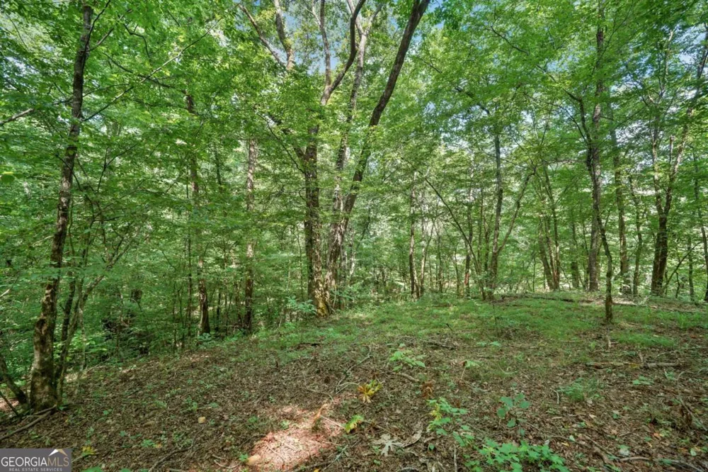 525 Etula DR Dahlonega, GA 30533