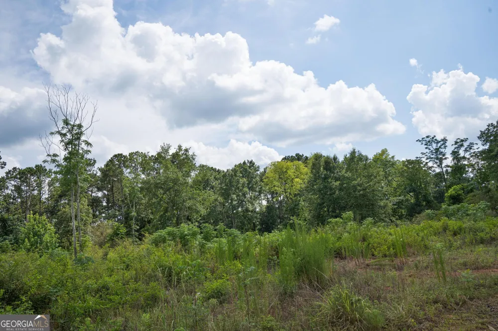 24 Askin Place Culloden, GA 31016