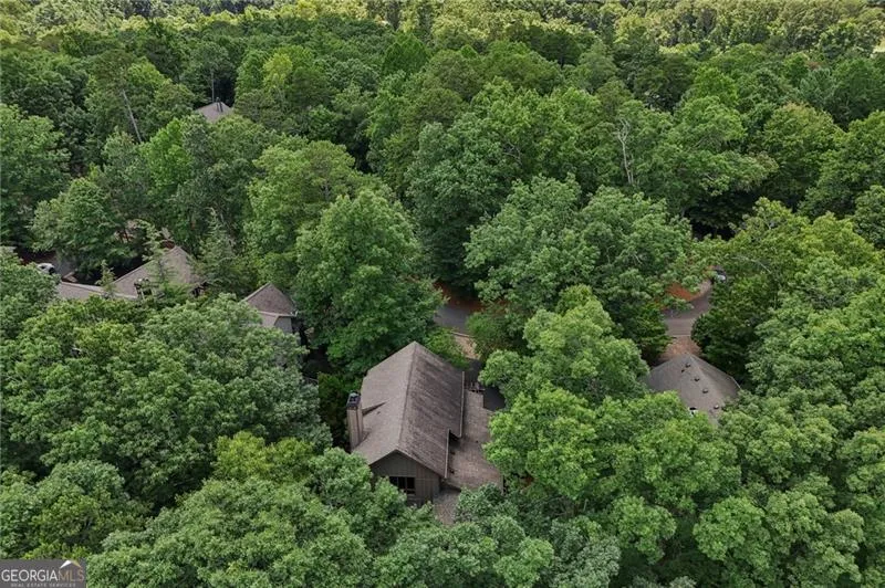 63 Choctaw RDG Big Canoe, GA 30143