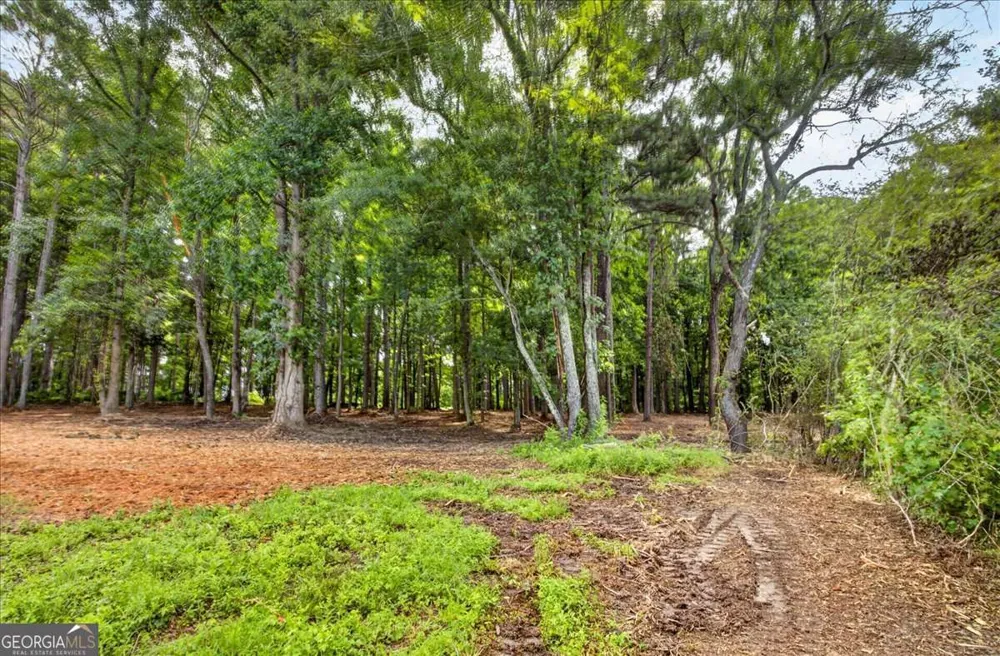 10987 Freehome HWY Canton, GA 30115