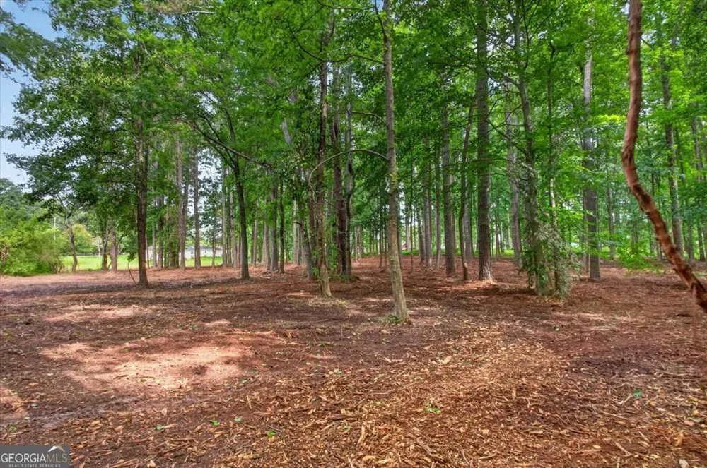 10987 Freehome HWY Canton, GA 30115