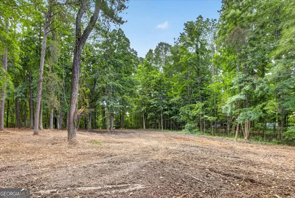 10987 Freehome HWY Canton, GA 30115
