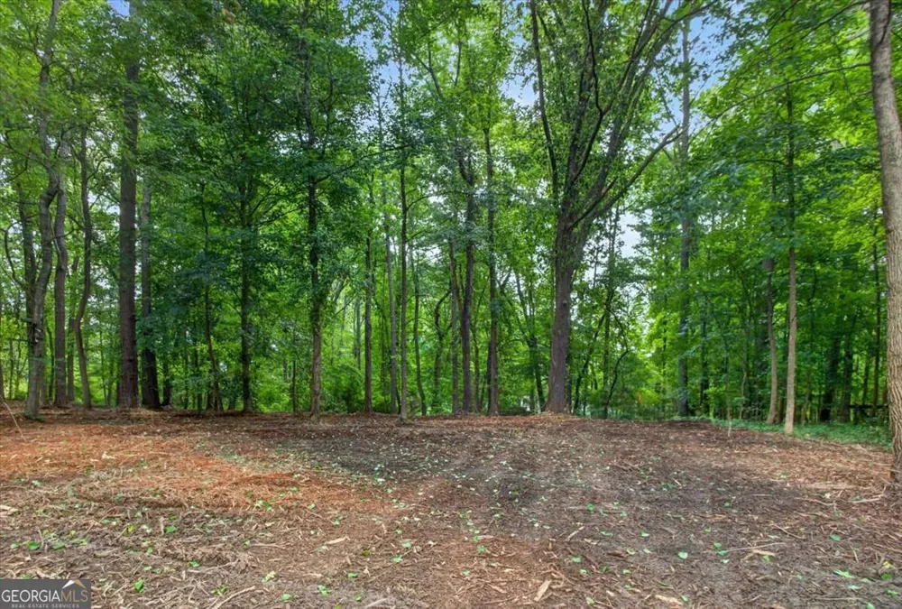 10987 Freehome HWY Canton, GA 30115