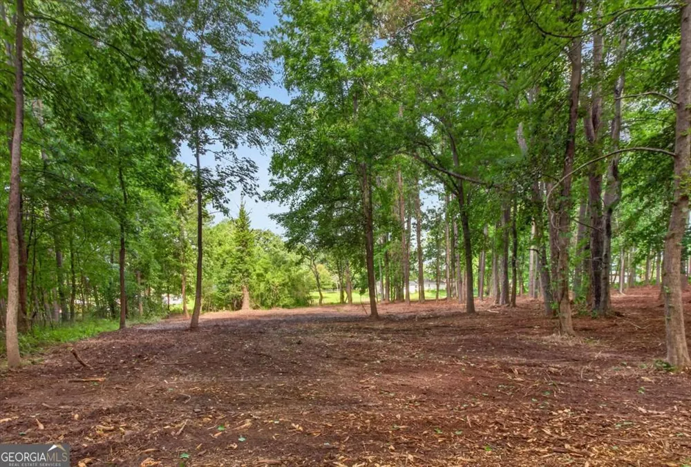 10987 Freehome HWY Canton, GA 30115