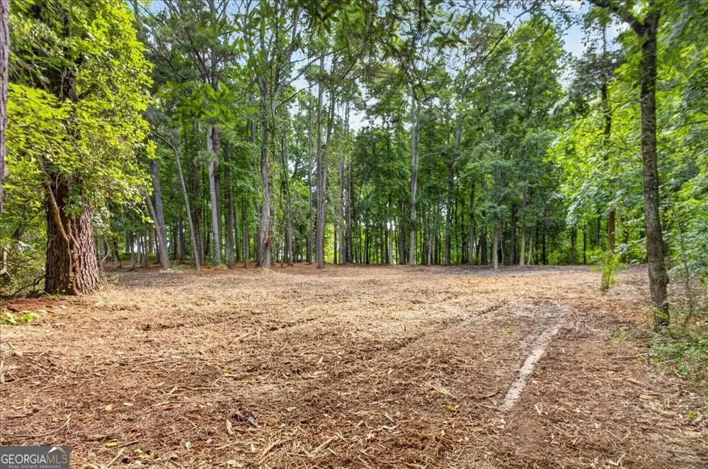 10987 Freehome HWY Canton, GA 30115