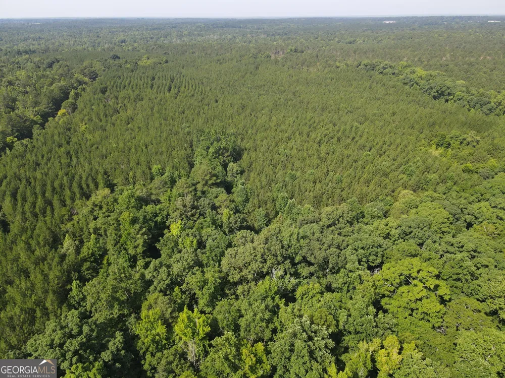 0 Lower Harmony RD Eatonton, GA 31024