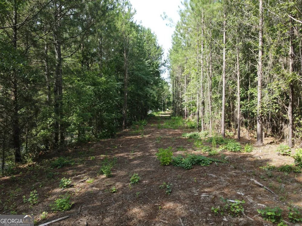0 Lower Harmony RD Eatonton, GA 31024