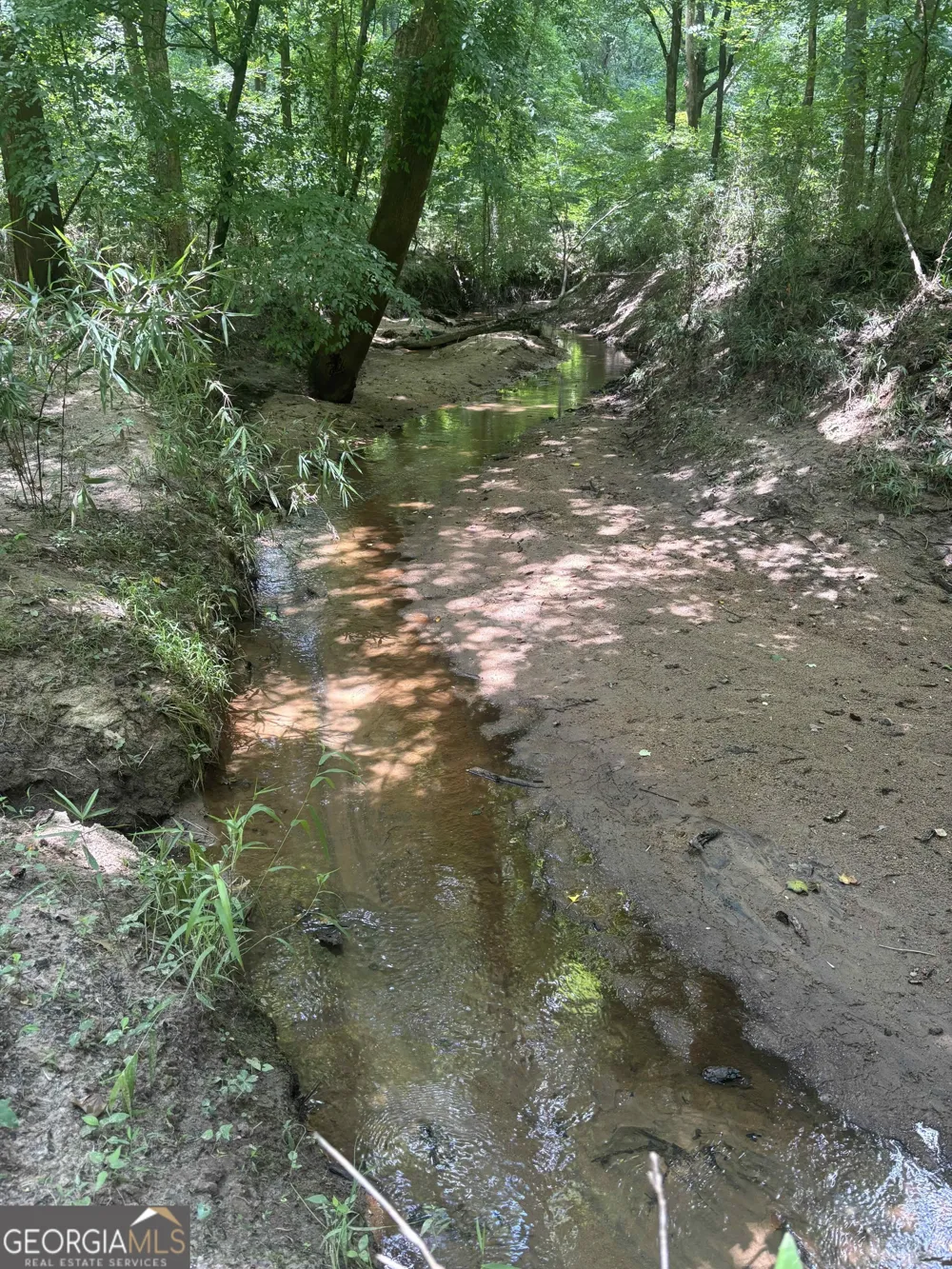 0 Lower Harmony RD Eatonton, GA 31024