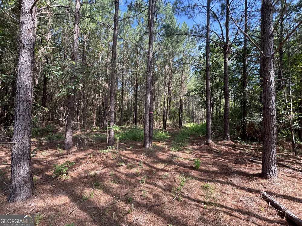 0 Lower Harmony RD Eatonton, GA 31024