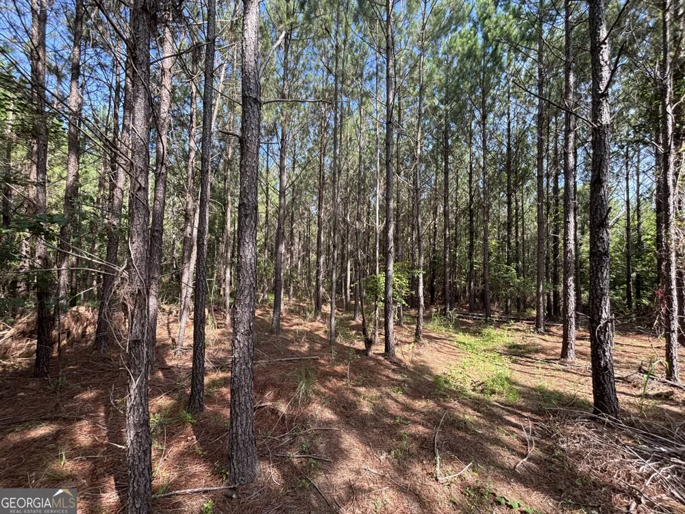 0 Lower Harmony RD Eatonton, GA 31024