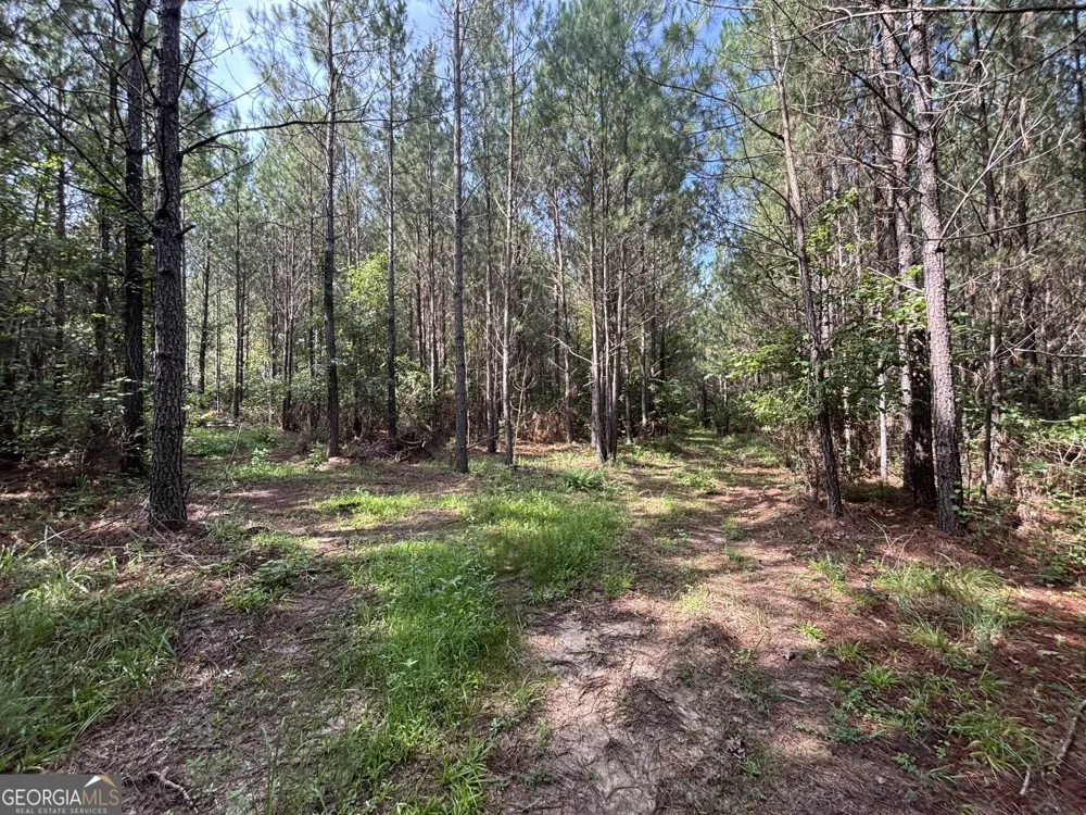 0 Lower Harmony RD Eatonton, GA 31024