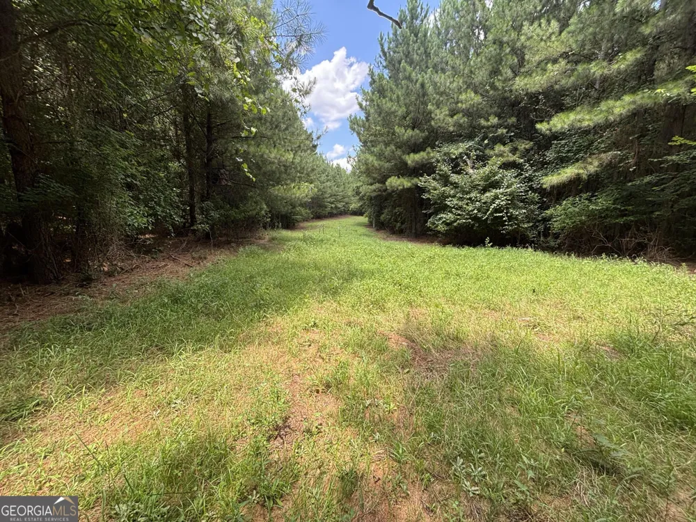 0 Lower Harmony RD Eatonton, GA 31024