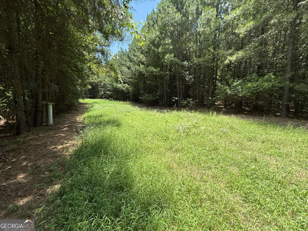 0 Lower Harmony RD Eatonton, GA 31024