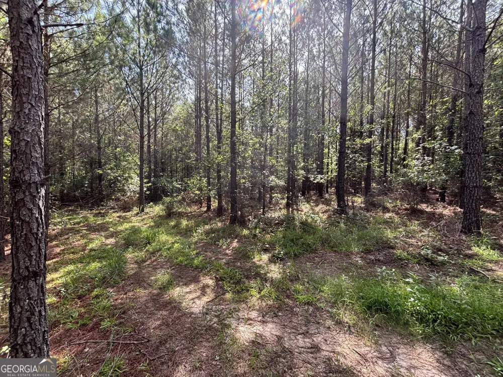 0 Lower Harmony RD Eatonton, GA 31024