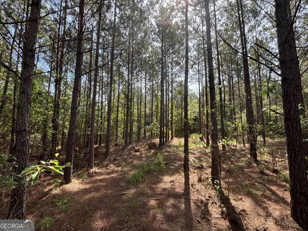 0 Lower Harmony RD Eatonton, GA 31024