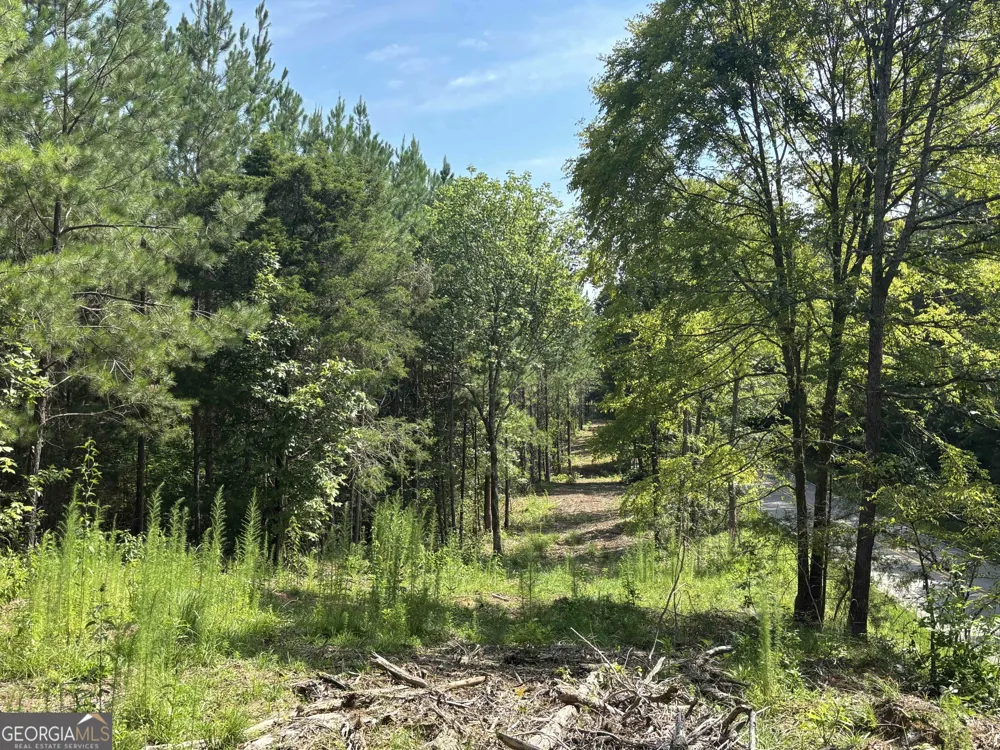 0 Lower Harmony RD Eatonton, GA 31024