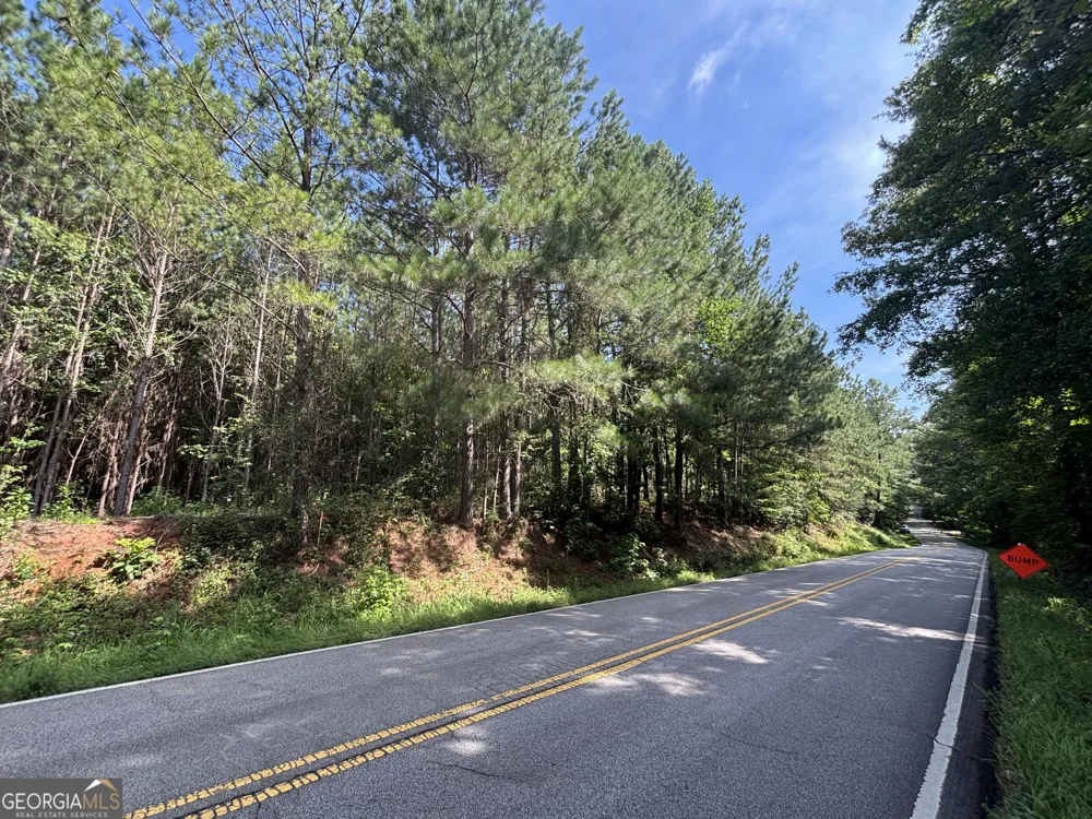 0 Lower Harmony RD Eatonton, GA 31024