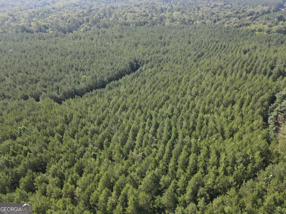 0 Lower Harmony Rd Lot 2 Eatonton, GA 31024