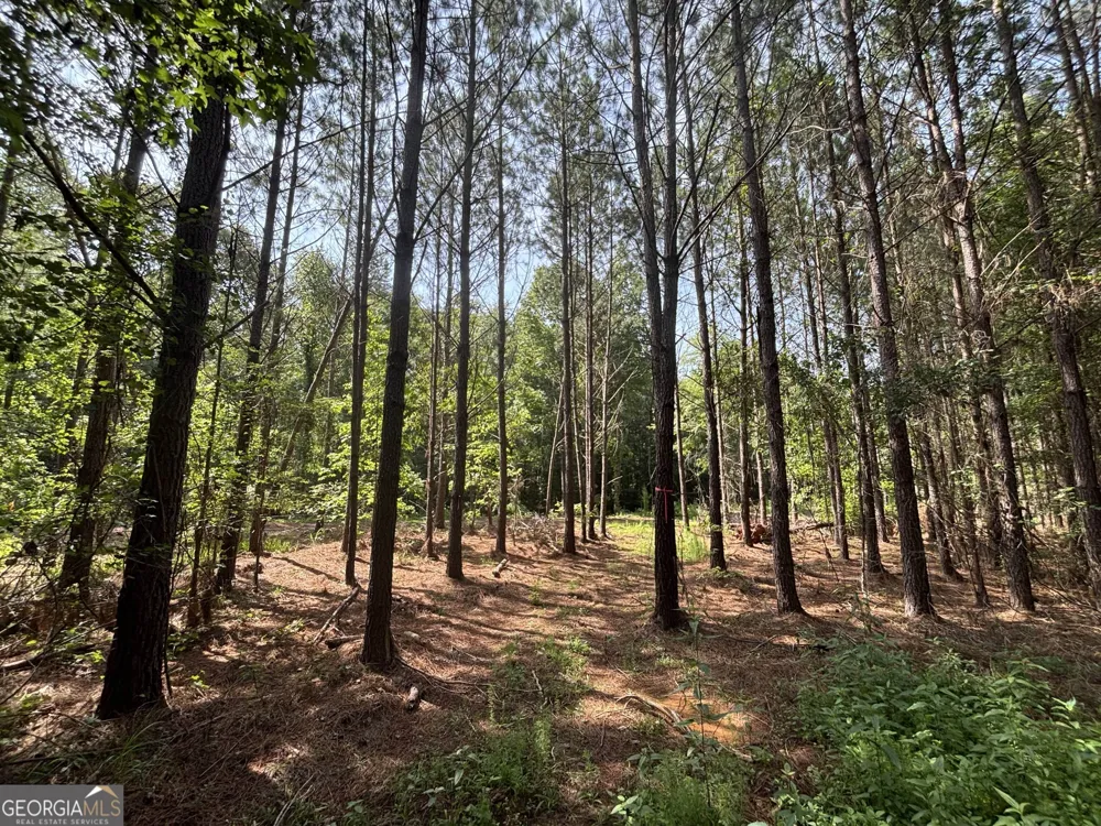 0 Lower Harmony Rd Lot 2 Eatonton, GA 31024