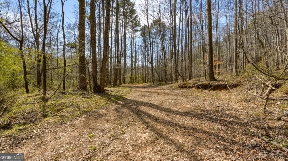 0B Hubbardsville Circle Dawsonville, GA 30534