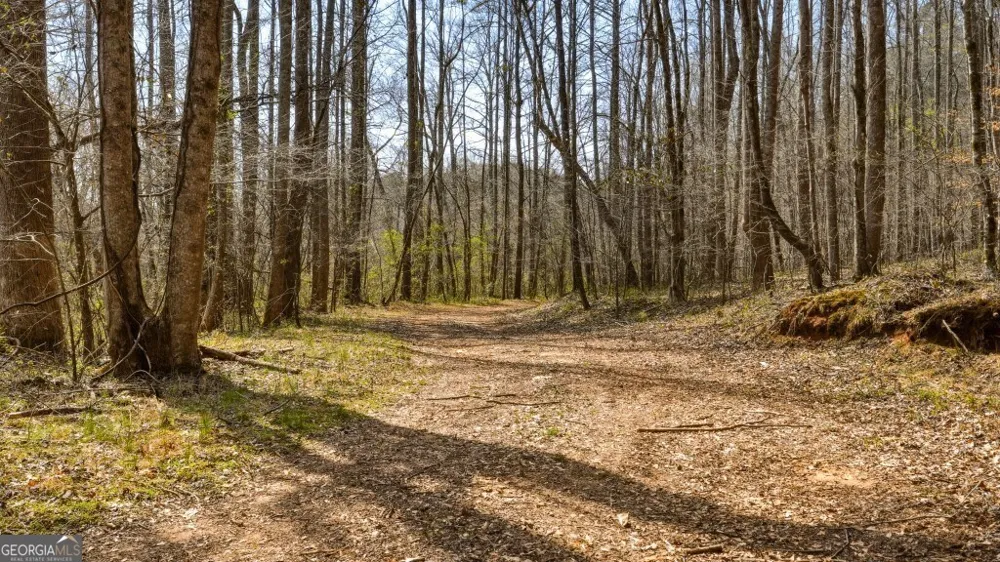0B Hubbardsville Circle Dawsonville, GA 30534