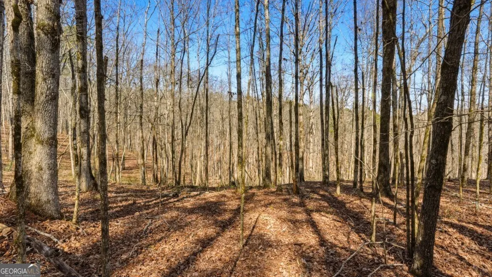 0B Hubbardsville Circle Dawsonville, GA 30534