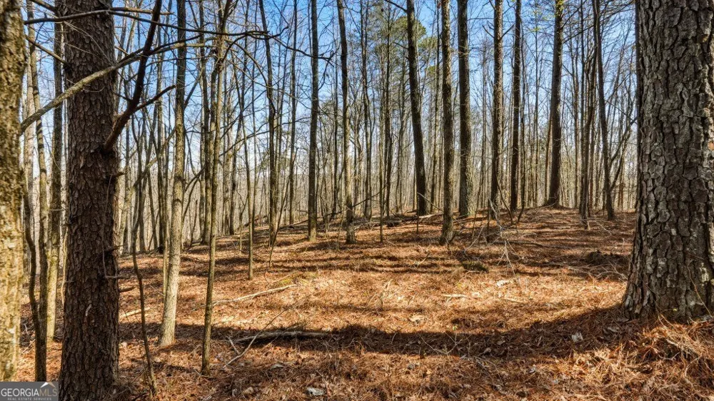0B Hubbardsville Circle Dawsonville, GA 30534