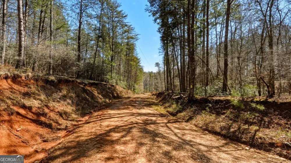 0B Hubbardsville Circle Dawsonville, GA 30534