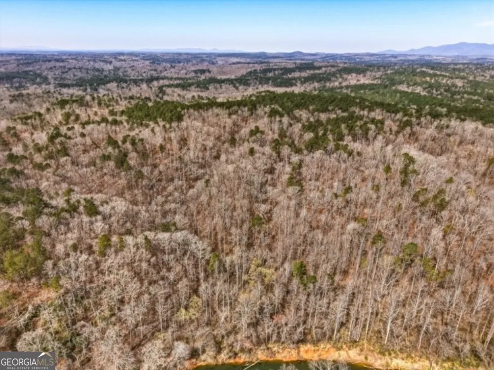 0B Hubbardsville Circle Dawsonville, GA 30534