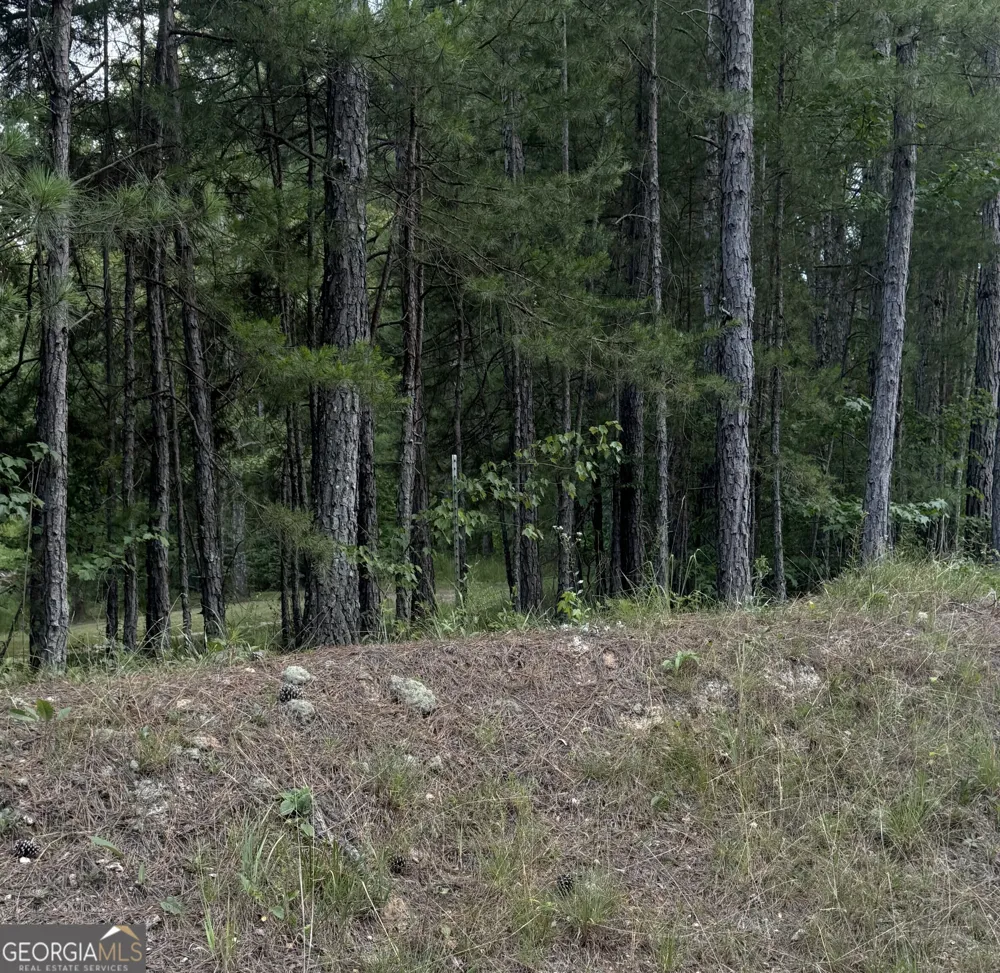 0 Co Rd 61 Fruithurst, AL 36262