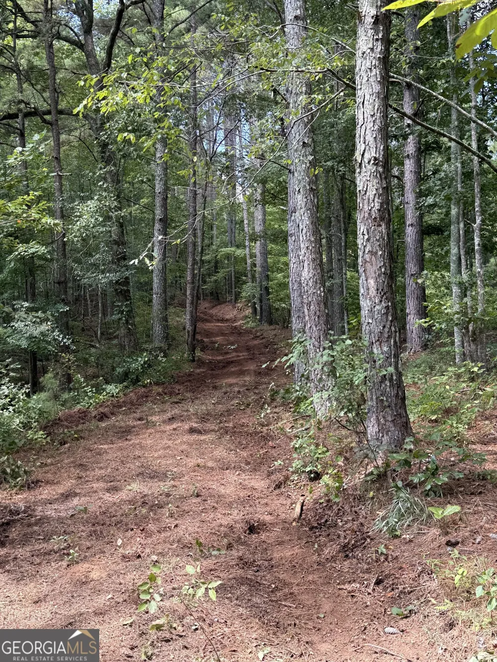 0 Co Rd 61 Fruithurst, AL 36262