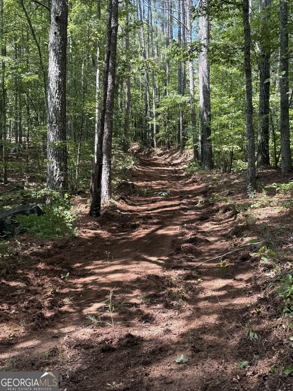 0 Co Rd 61 Fruithurst, AL 36262