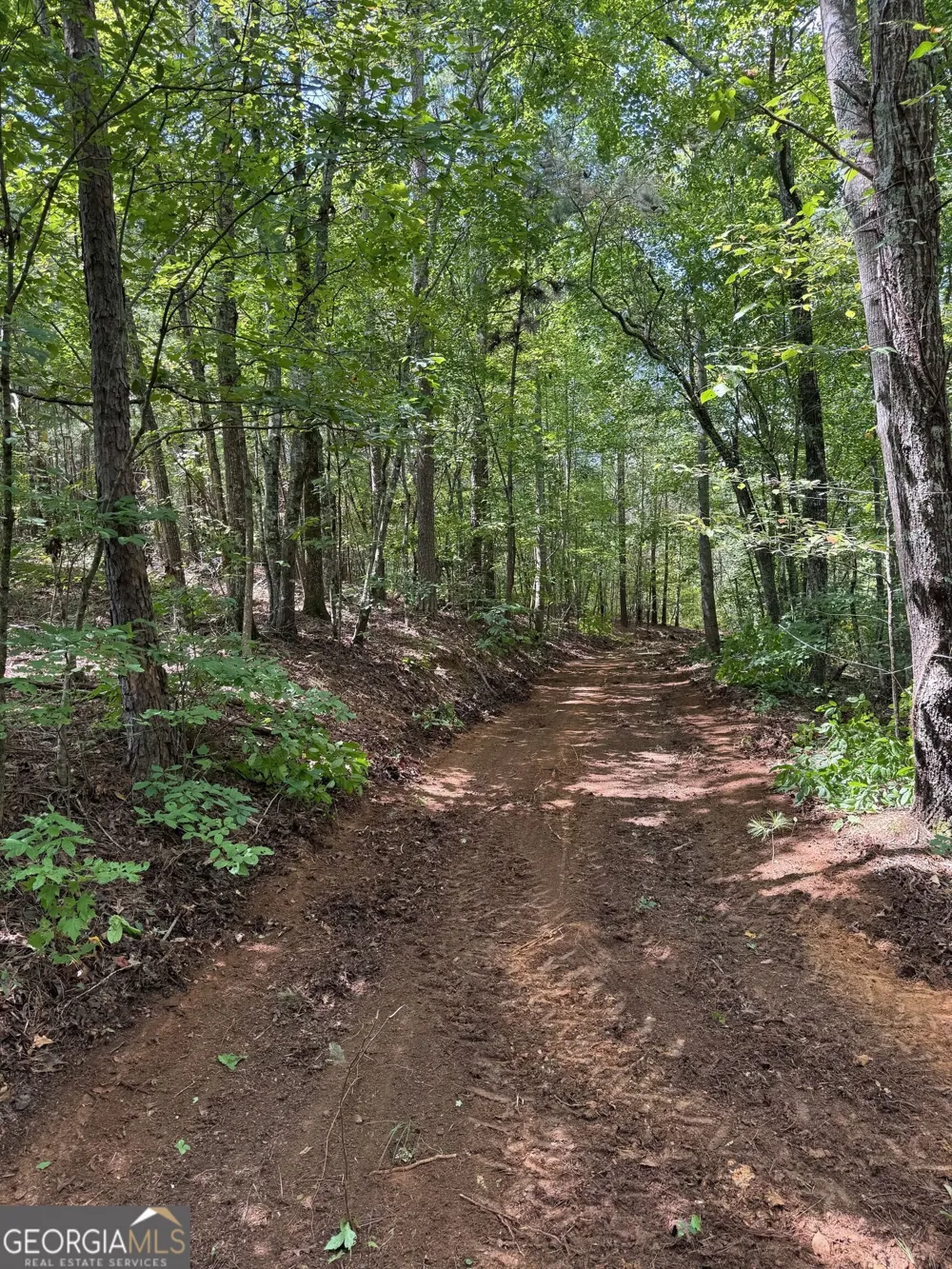 0 Co Rd 61 Fruithurst, AL 36262