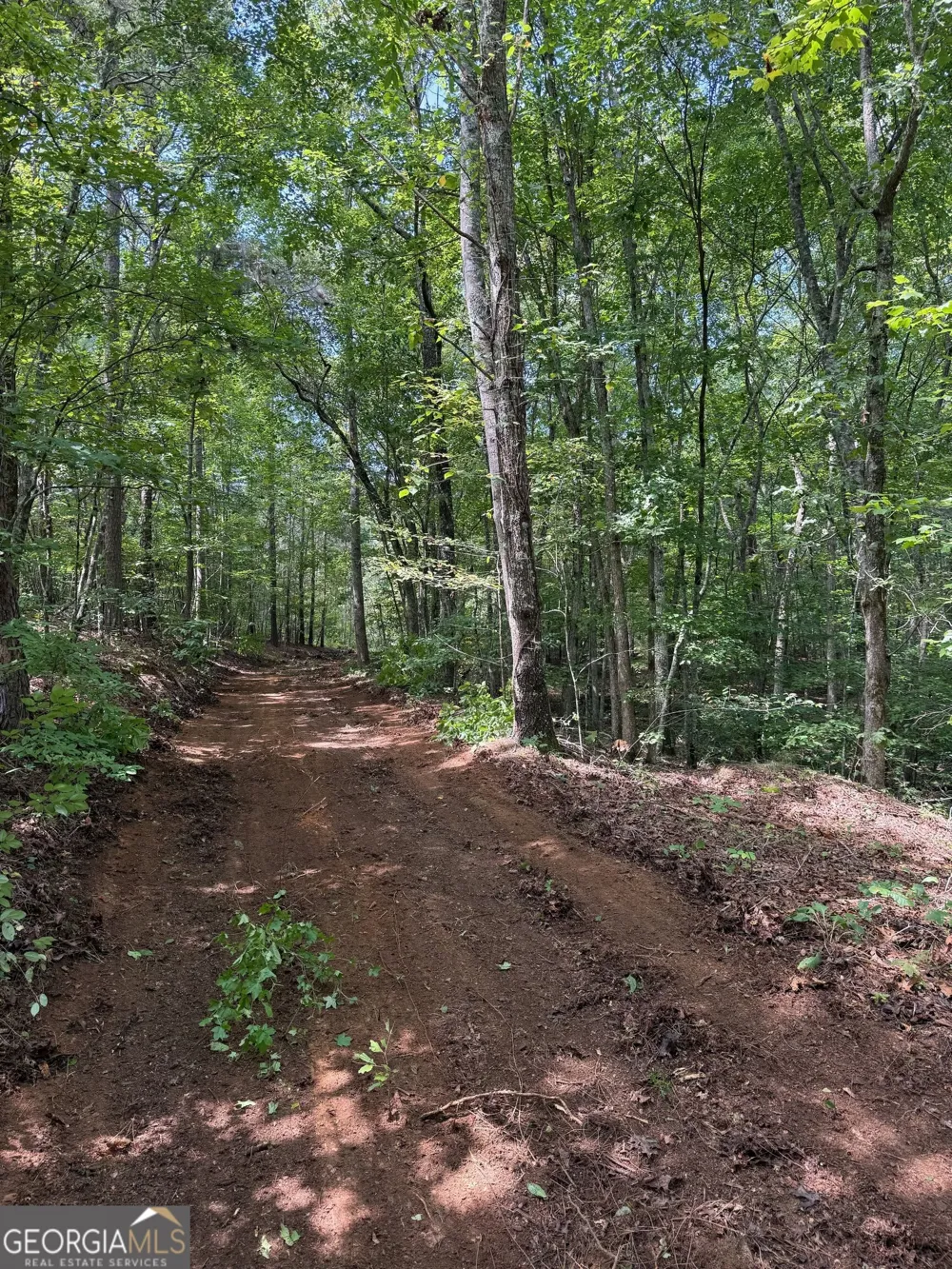 0 Co Rd 61 Fruithurst, AL 36262