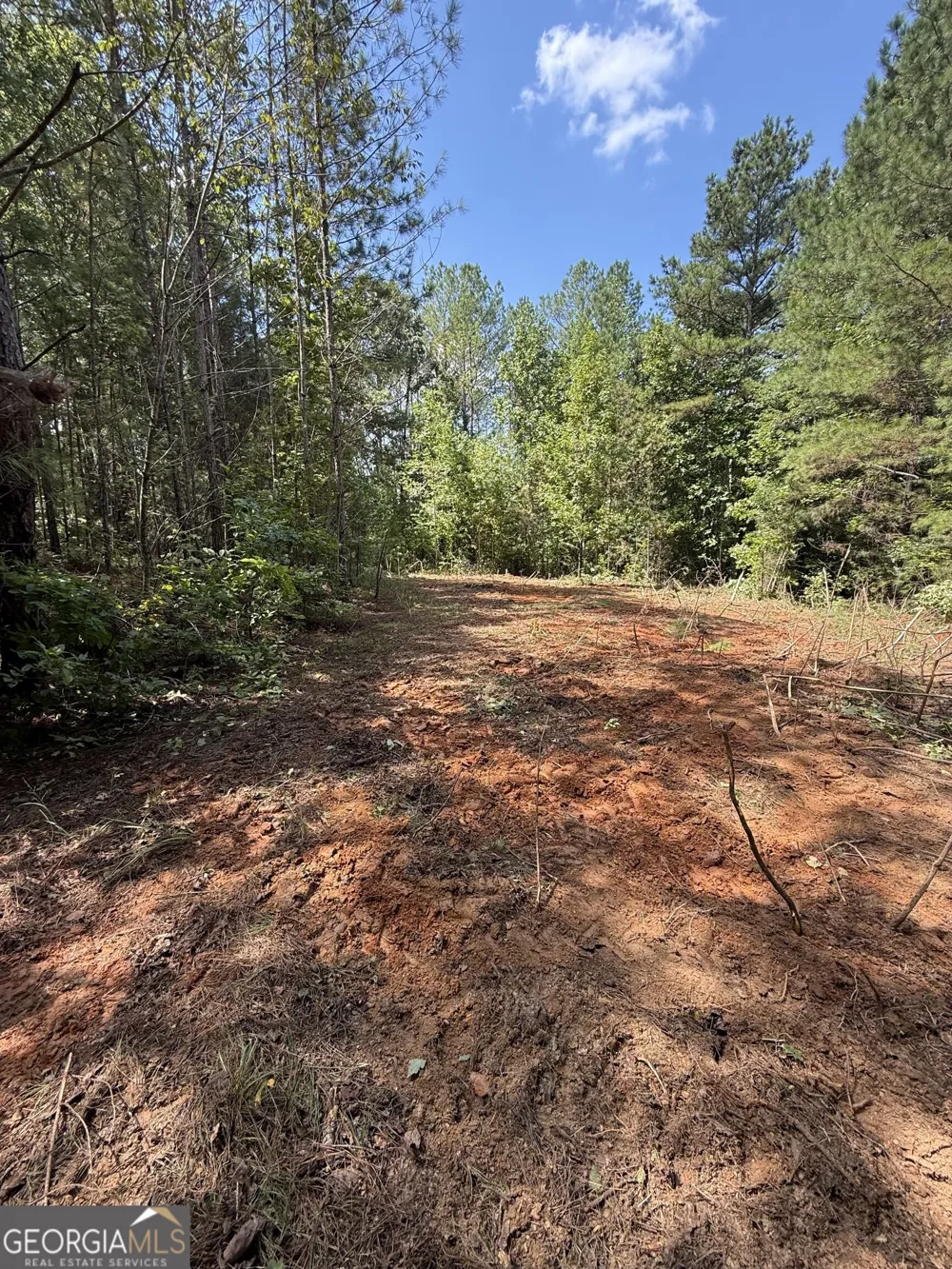 0 Co Rd 61 Fruithurst, AL 36262