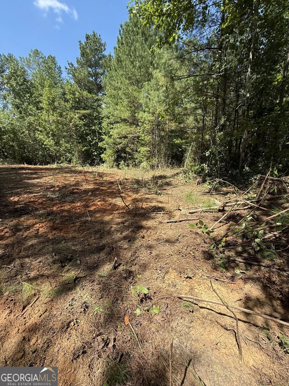 0 Co Rd 61 Fruithurst, AL 36262