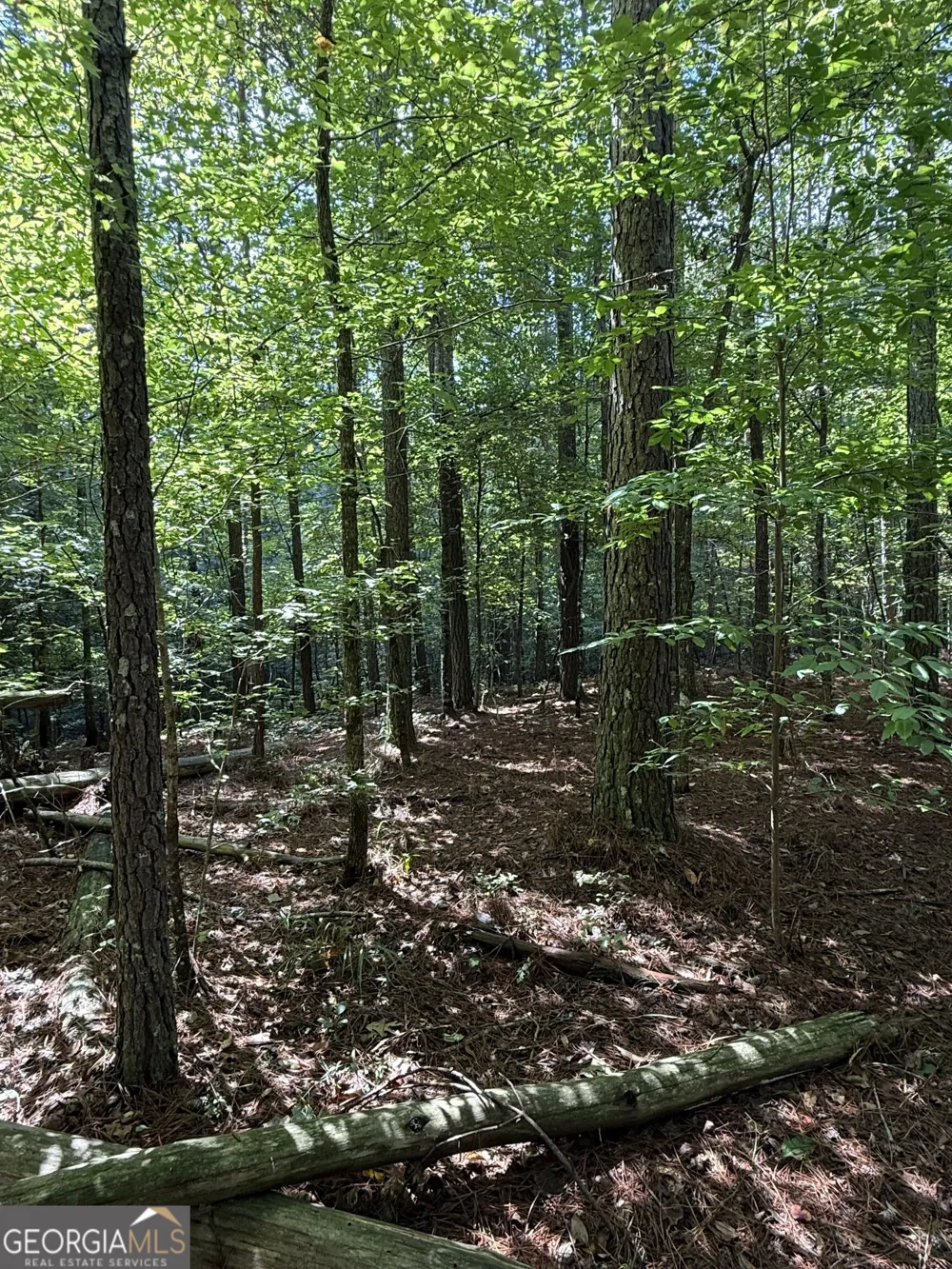 0 Co Rd 61 Fruithurst, AL 36262