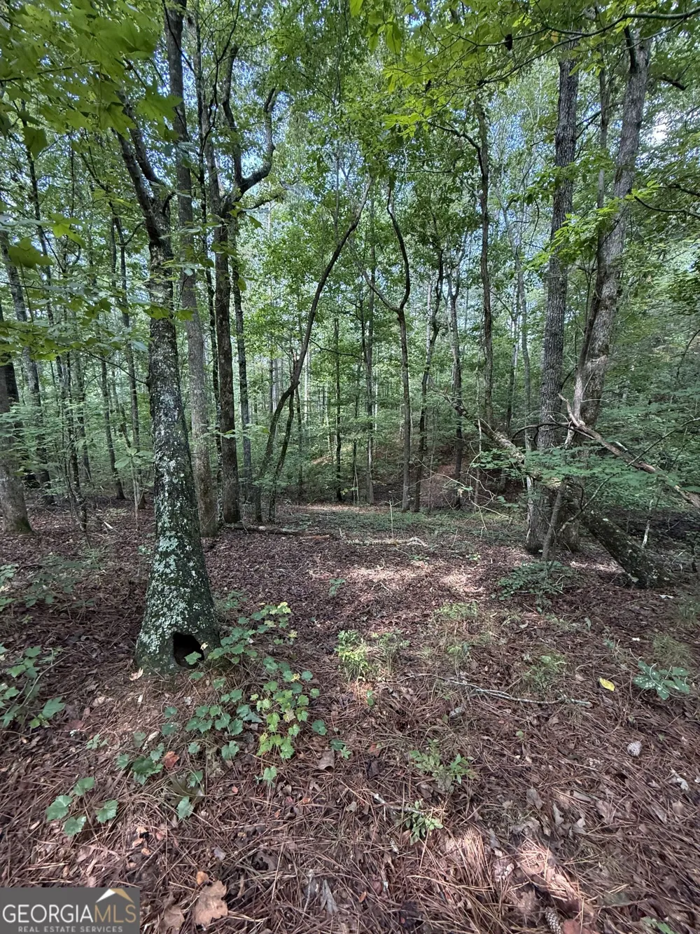 0 Co Rd 61 Fruithurst, AL 36262