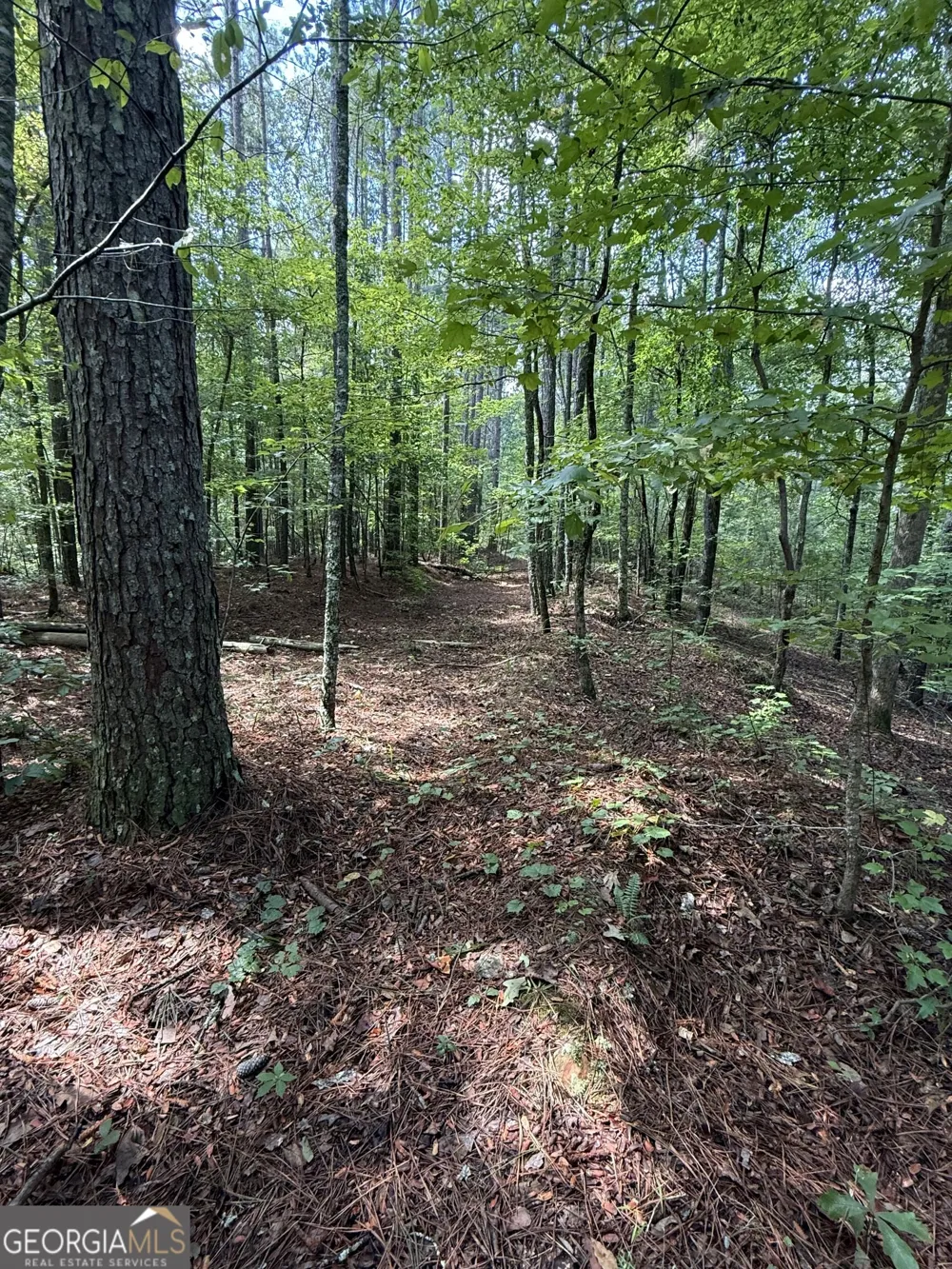 0 Co Rd 61 Fruithurst, AL 36262
