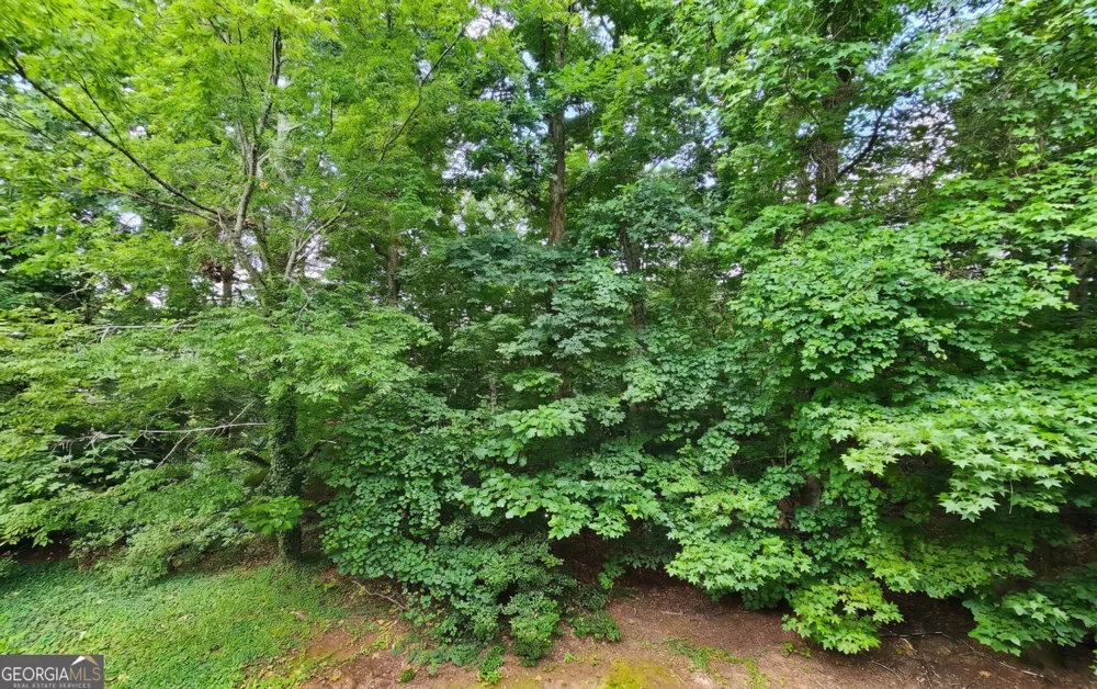 1503 Waters Edge TRL Roswell, GA 30075