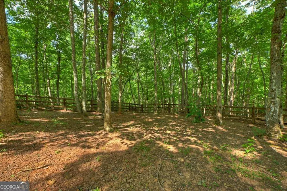21 Trails End LN Morganton, GA 30560