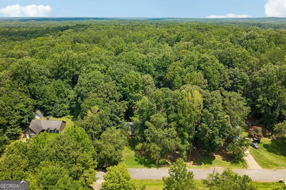 185 Starrs Mill DR Senoia, GA 30276
